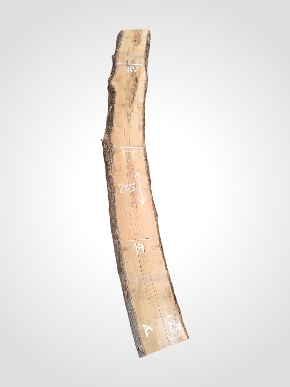 Oliva 70 mm - 83
