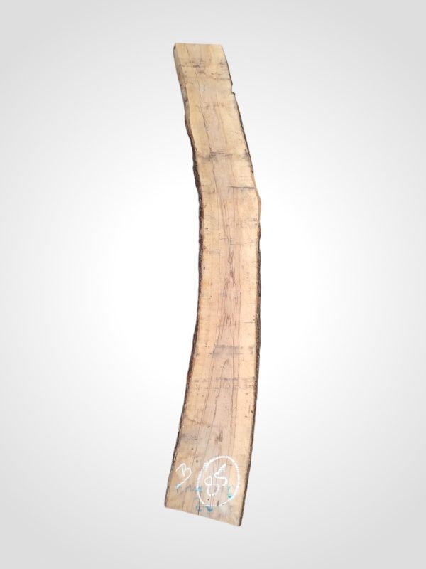 Oliva 70 mm - 85