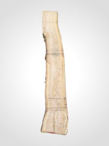 Oliva 70 mm - 8