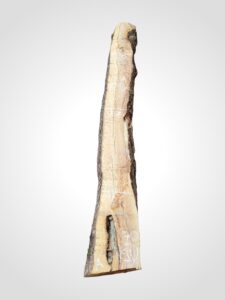 Oliva 70 mm - 90