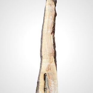 Oliva 70 mm - 90