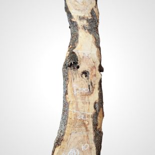 Oliva 70 mm - 98