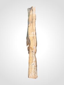 Oliva 70 mm - 62
