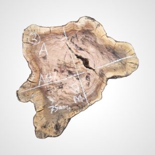 Oliva 75 mm, koláč - 2