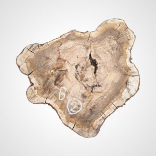 Oliva 75 mm, koláč - 2