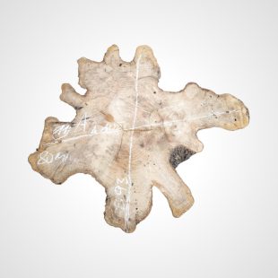 Oliva 80 mm, koláč - 11