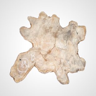 Oliva 80 mm, koláč - 11