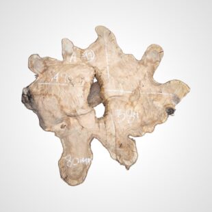 Oliva 80 mm, koláč - 12