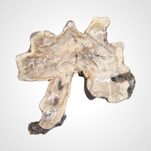 Oliva 90 mm, koláč - 5