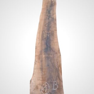 Ořech americký 63 mm - 1