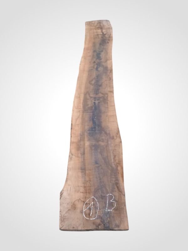 Ořech americký 63 mm - 1