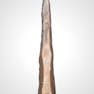 Ořech černý 30/32 mm - 43