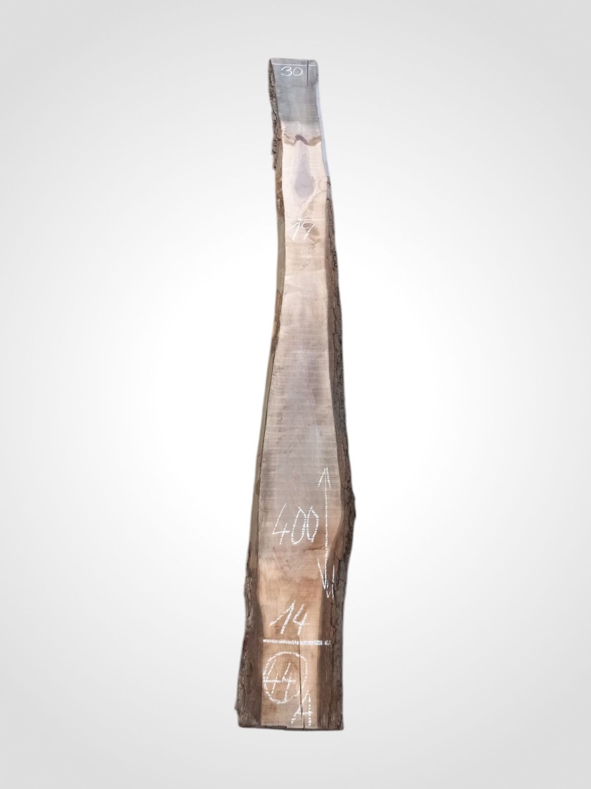 Ořech černý 30/32 mm - 44