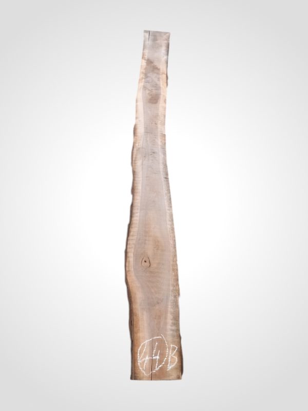 Ořech černý 30/32 mm - 44