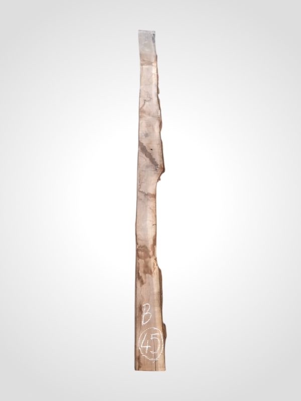 Ořech černý 30/32 mm - 45