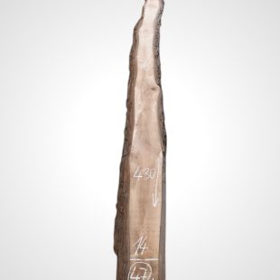 Ořech černý 30/32 mm - 47