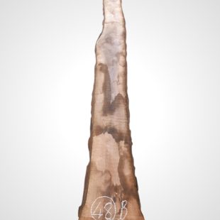 Ořech černý 30/32 mm - 48
