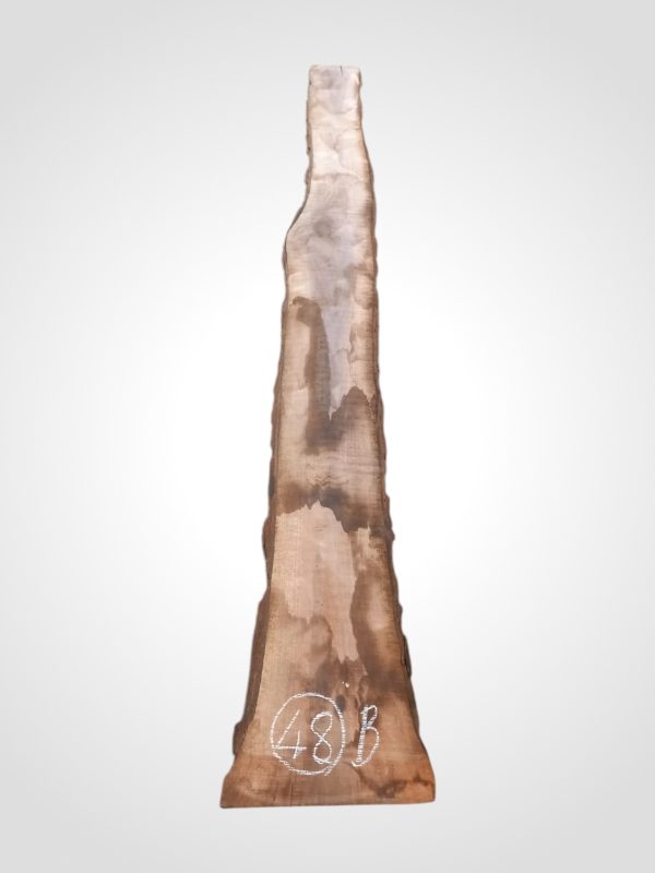 Ořech černý 30/32 mm - 48