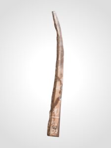Ořech černý 30/32 mm - 53