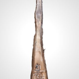 Ořech černý 30/32 mm - 55