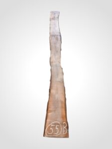 Ořech černý 30/32 mm - 55