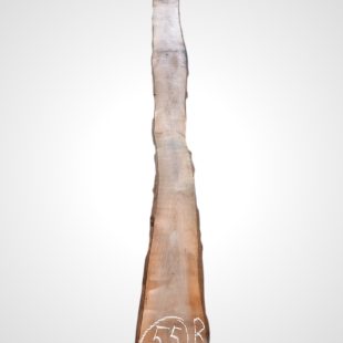Ořech černý 30/32 mm - 55