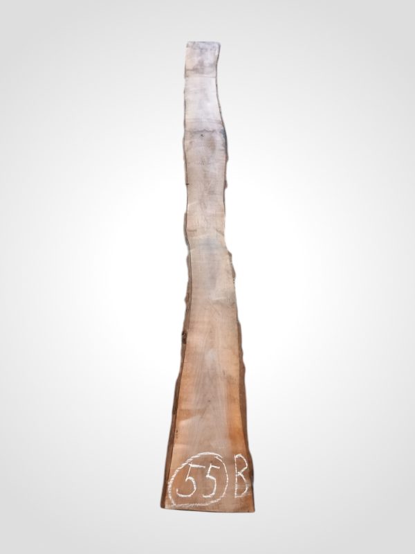 Ořech černý 30/32 mm - 55