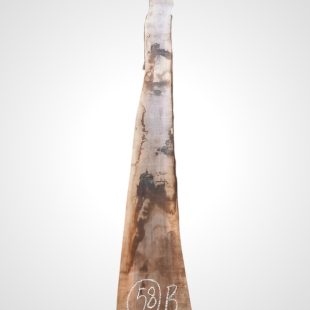Ořech černý 30/32 mm - 58