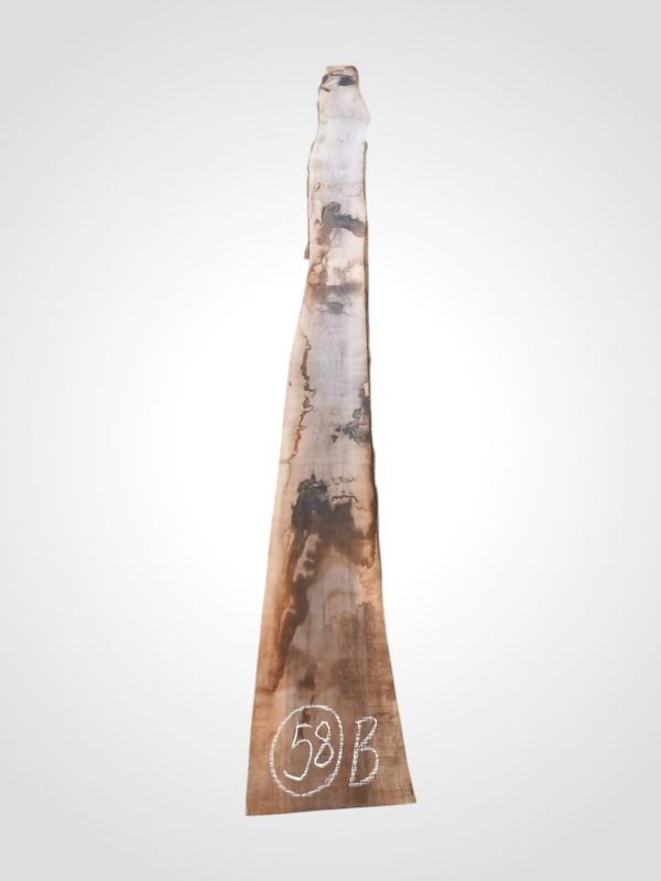 Ořech černý 30/32 mm - 58