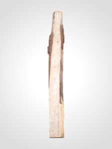Ořech černý 32 mm - 5