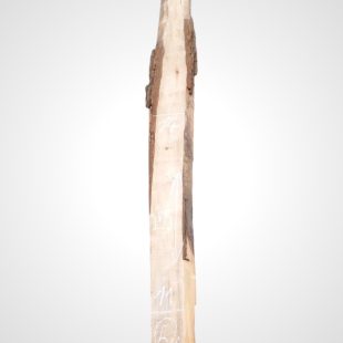 Ořech černý 32 mm - 5