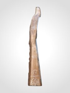 Ořech černý 30/32 mm - 60