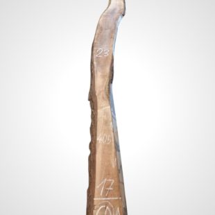 Ořech černý 30/32 mm - 60