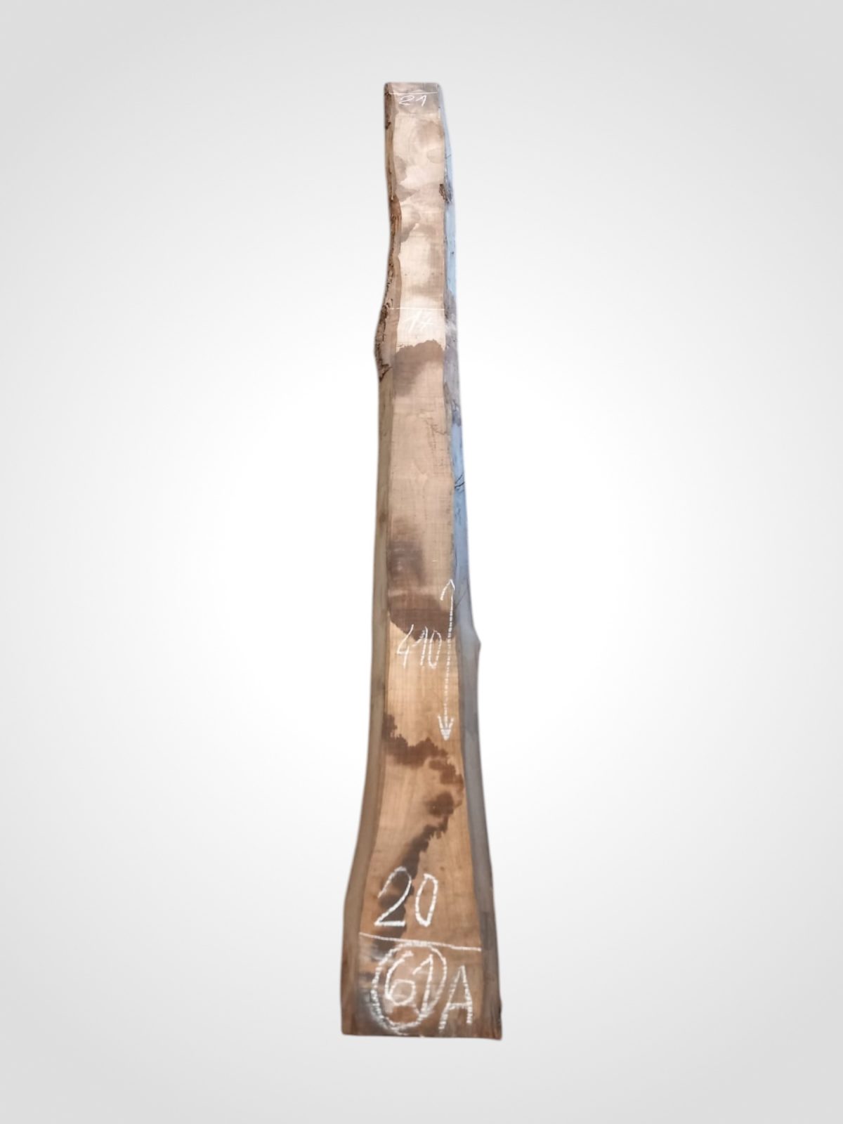 Ořech černý 30/32 mm - 61