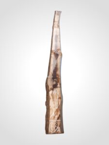Ořech černý 30/32 mm - 63