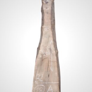 Ořech vlašský 52 mm - 18
