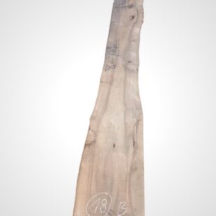 Ořech vlašský 52 mm - 18