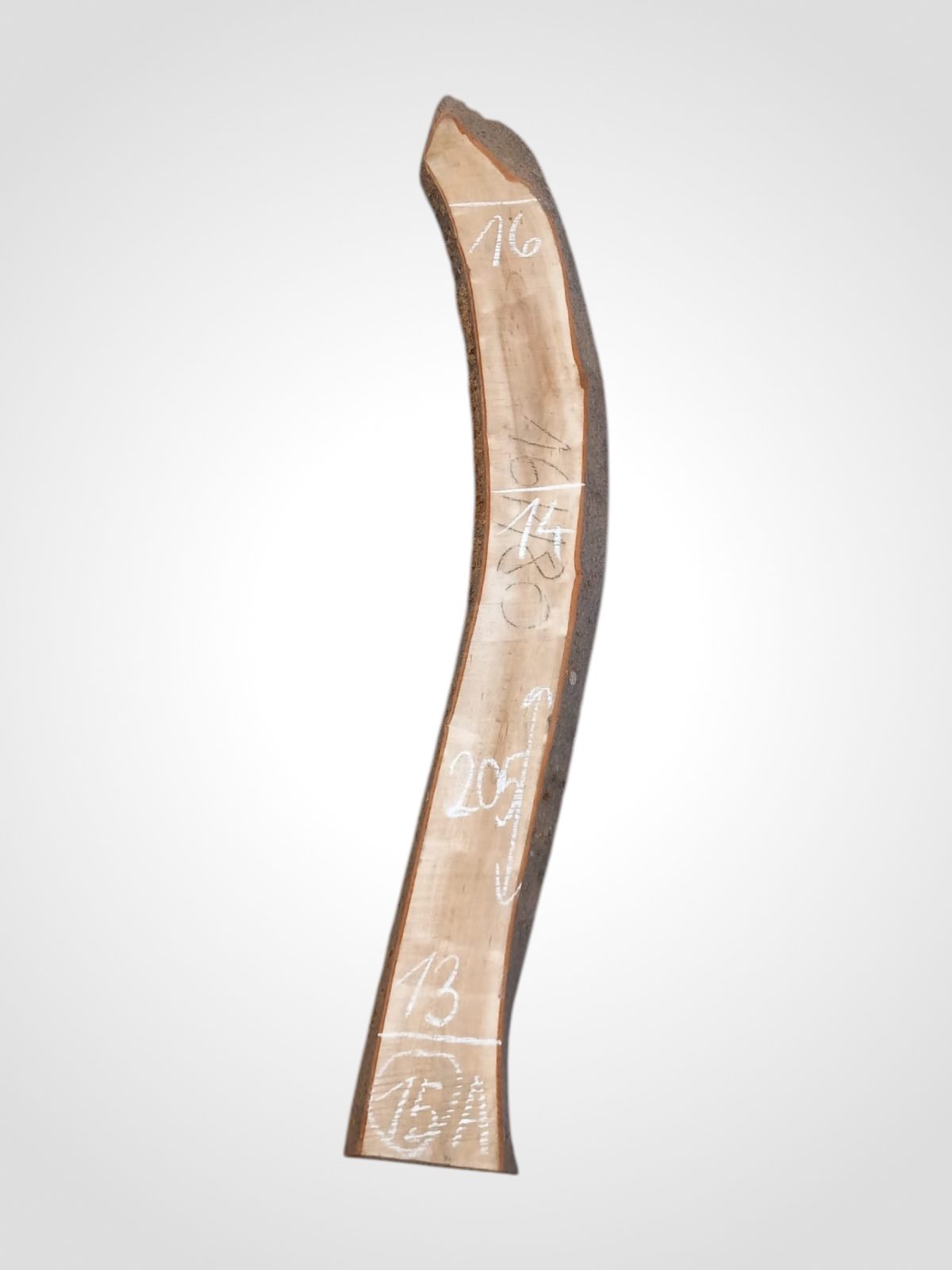 Střemcha 40/42 mm - 15