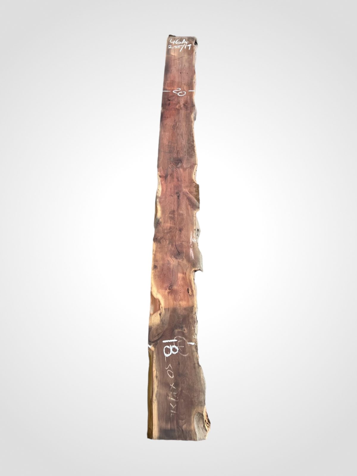Tis červený 35 mm - 46