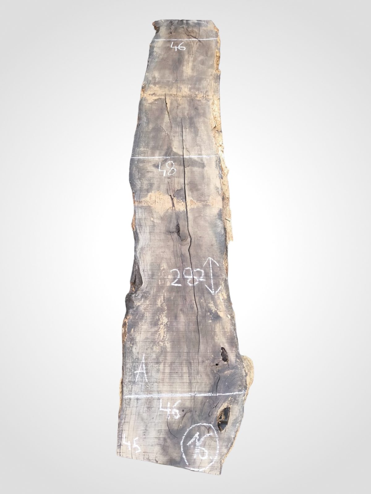 Tis červený 45 mm - 16