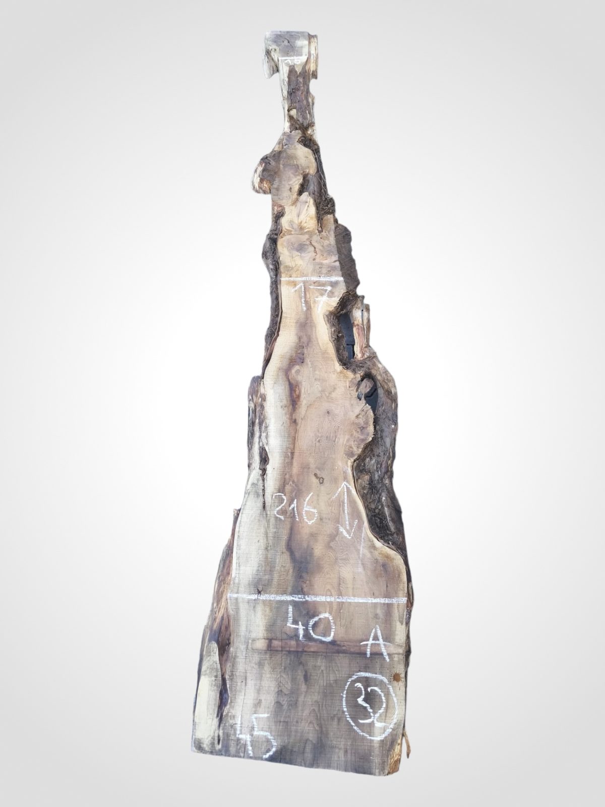 Tis červený 45 mm - 32