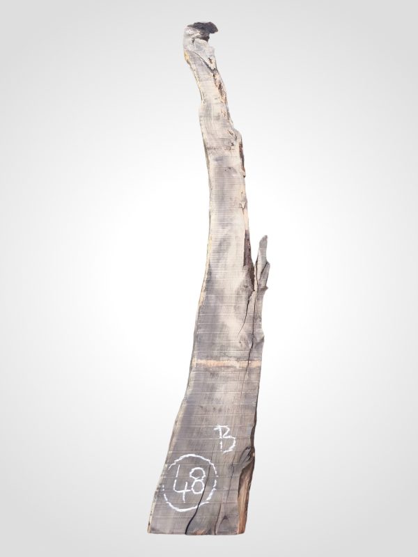 Tis červený 45 mm - 48