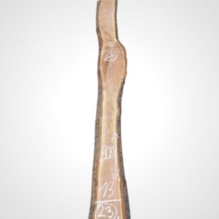 Třešeň evropská 25/26 mm - 23