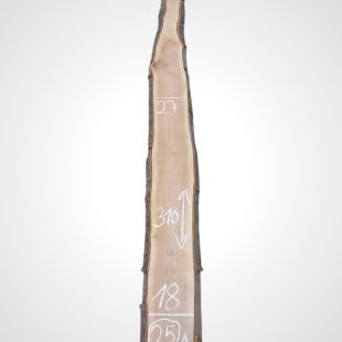 Třešeň evropská 25/26 mm - 25