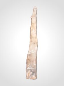 Třešeň evropská 32 mm - 10