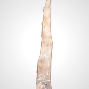 Třešeň evropská 32 mm - 10