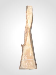 Třešeň evropská 32 mm - 11