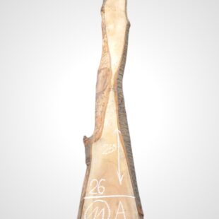Třešeň evropská 32 mm - 11