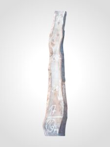 Třešeň evropská 32 mm - 16