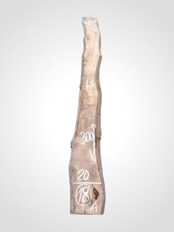 Třešeň evropská 32 mm - 18